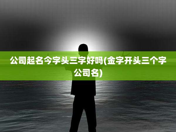 公司起名今字头三字好吗(金字开头三个字公司名)