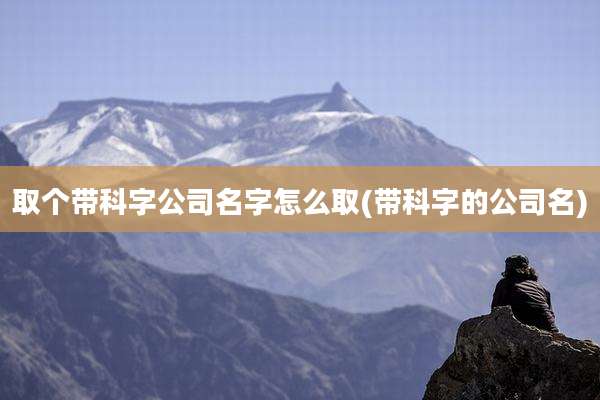 取个带科字公司名字怎么取(带科字的公司名)