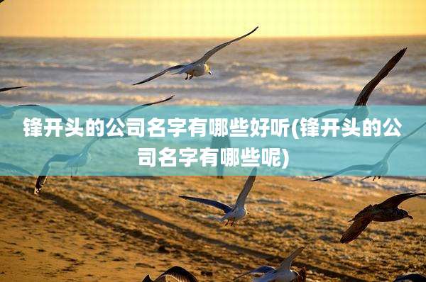 锋开头的公司名字有哪些好听(锋开头的公司名字有哪些呢)