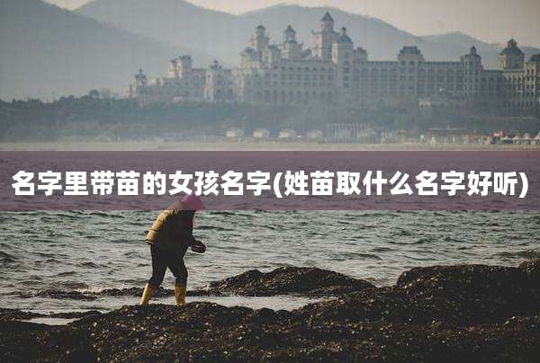 名字里带苗的女孩名字(姓苗取什么名字好听)