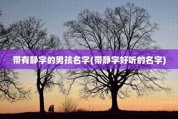 带有静字的男孩名字(带静字好听的名字)