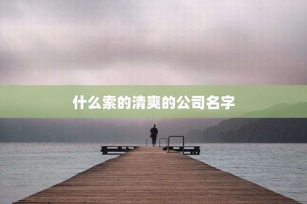 什么索的清爽的公司名字