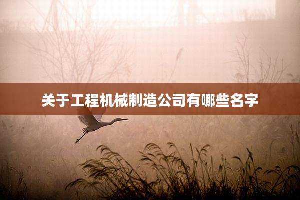 关于工程机械制造公司有哪些名字