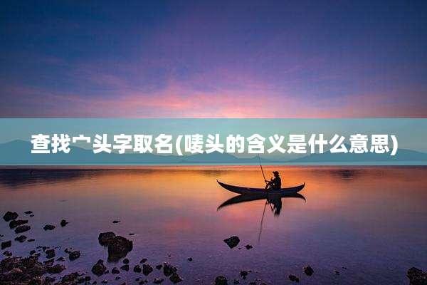 查找宀头字取名(唛头的含义是什么意思)