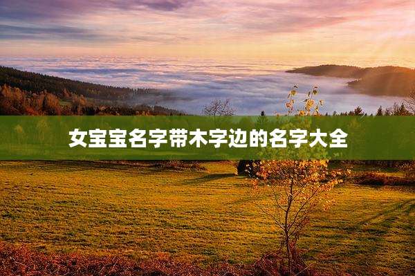 女宝宝名字带木字边的名字大全