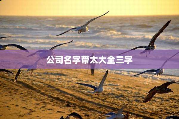 公司名字带太大全三字