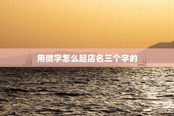 用微字怎么起店名三个字的