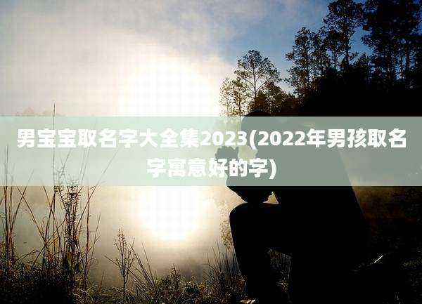 男宝宝取名字大全集2023(2022年男孩取名字寓意好的字)