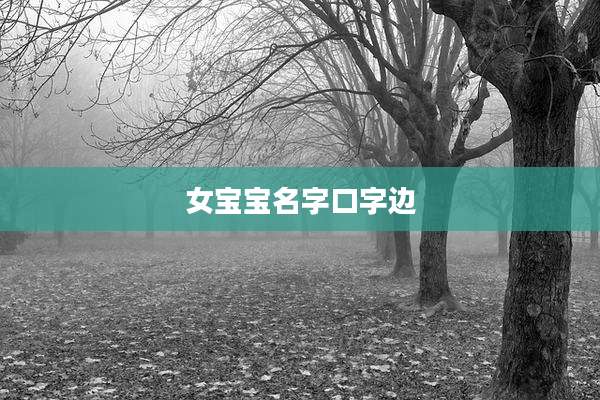 女宝宝名字口字边