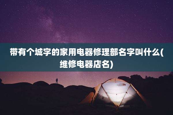 带有个城字的家用电器修理部名字叫什么(维修电器店名)