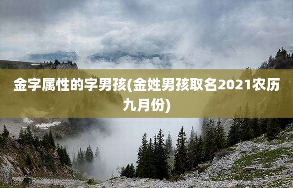 金字属性的字男孩(金姓男孩取名2021农历九月份)