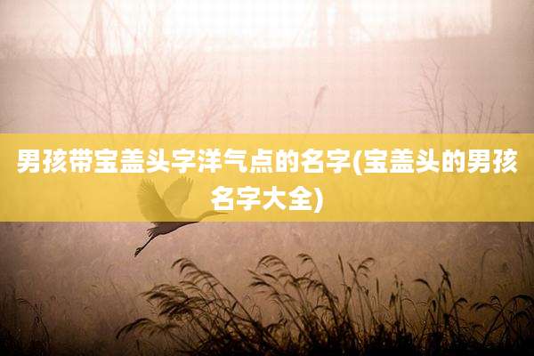 男孩带宝盖头字洋气点的名字(宝盖头的男孩名字大全)