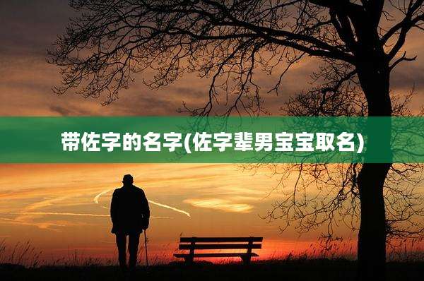 带佐字的名字(佐字辈男宝宝取名)