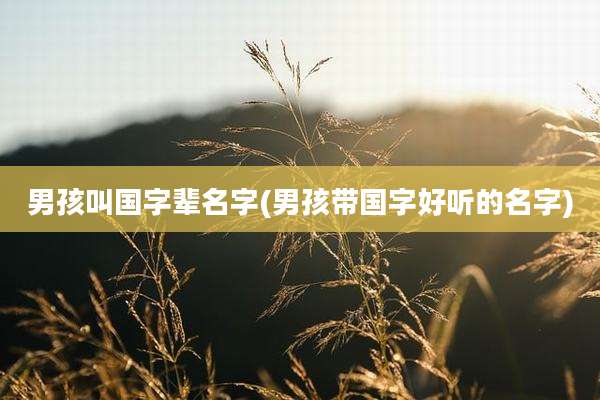 男孩叫国字辈名字(男孩带国字好听的名字)