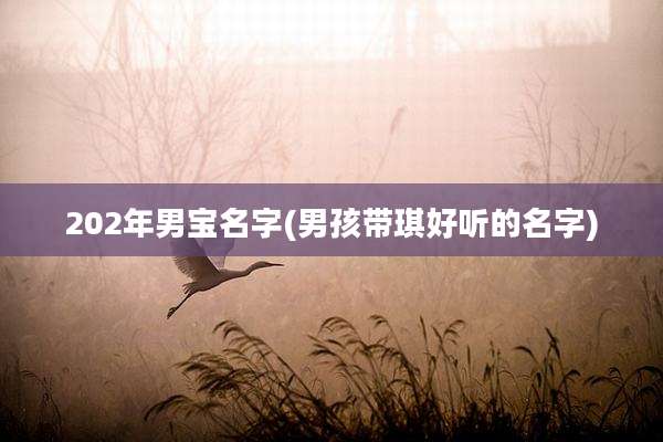 202年男宝名字(男孩带琪好听的名字)