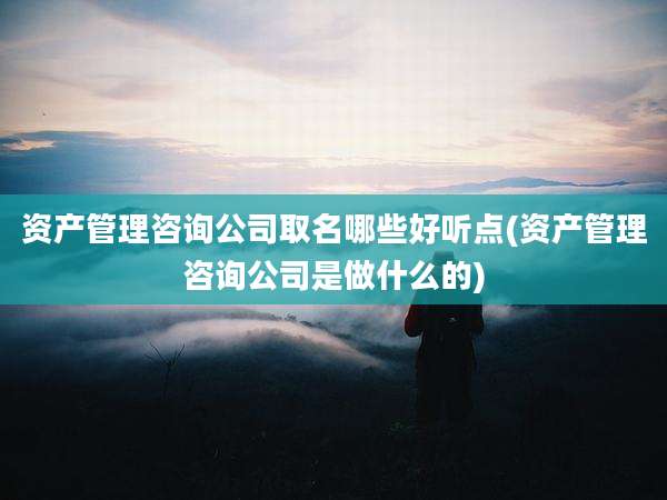 资产管理咨询公司取名哪些好听点(资产管理咨询公司是做什么的)