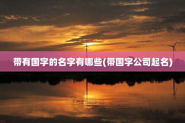 带有国字的名字有哪些(带国字公司起名)