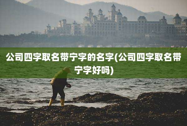公司四字取名带宁字的名字(公司四字取名带宁字好吗)