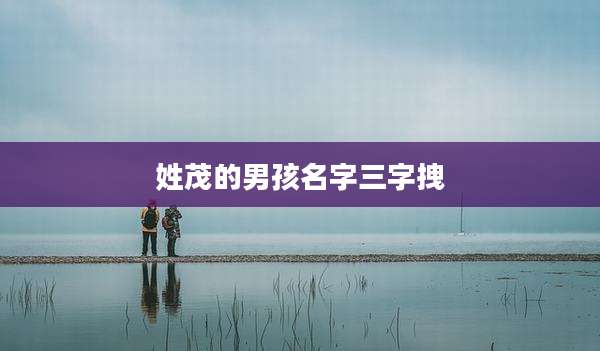 姓茂的男孩名字三字拽