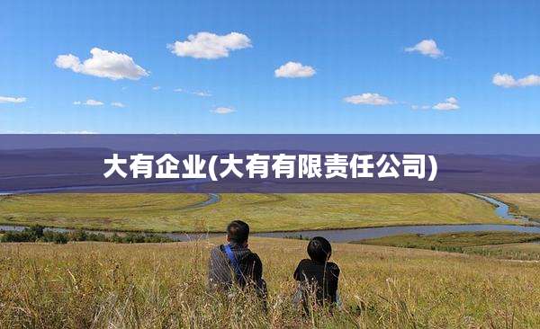 大有企业(大有有限责任公司)