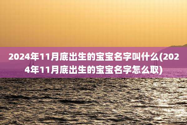 2024年11月底出生的宝宝名字叫什么(2024年11月底出生的宝宝名字怎么取)