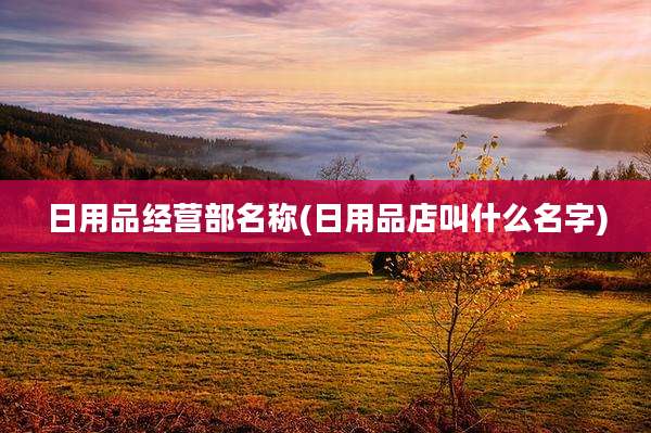 日用品经营部名称(日用品店叫什么名字)