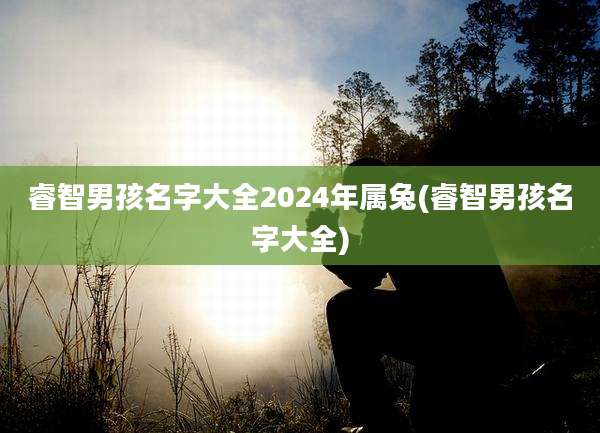 睿智男孩名字大全2024年属兔(睿智男孩名字大全)