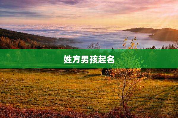 姓方男孩起名