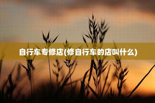 自行车专修店(修自行车的店叫什么)