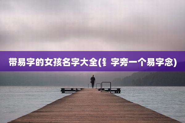 带易字的女孩名字大全(钅字旁一个易字念)