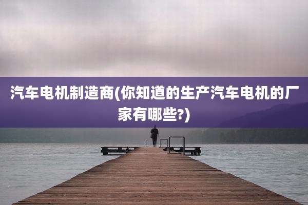 汽车电机制造商(你知道的生产汽车电机的厂家有哪些?)