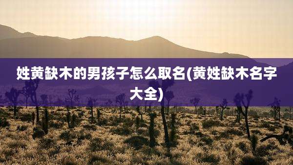 姓黄缺木的男孩子怎么取名(黄姓缺木名字大全)