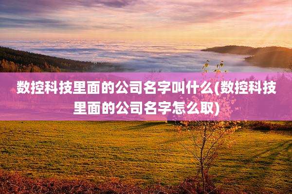 数控科技里面的公司名字叫什么(数控科技里面的公司名字怎么取)
