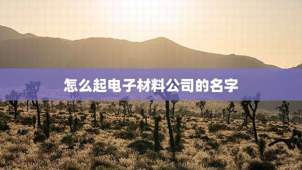 怎么起电子材料公司的名字