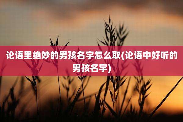 论语里绝妙的男孩名字怎么取(论语中好听的男孩名字)