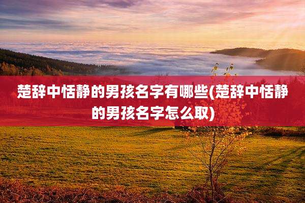 楚辞中恬静的男孩名字有哪些(楚辞中恬静的男孩名字怎么取)