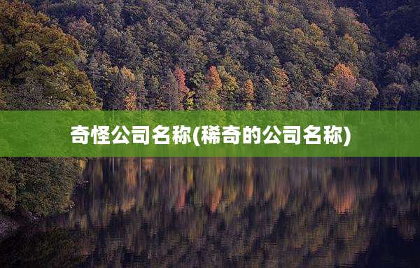 奇怪公司名称(稀奇的公司名称)