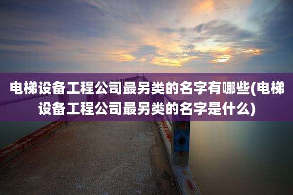 电梯设备工程公司最另类的名字有哪些(电梯设备工程公司最另类的名字是什么)