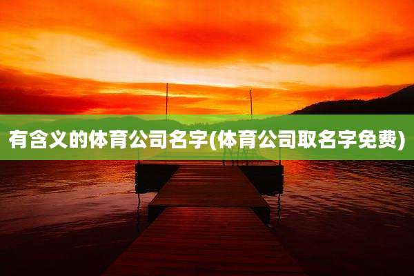 有含义的体育公司名字(体育公司取名字免费)