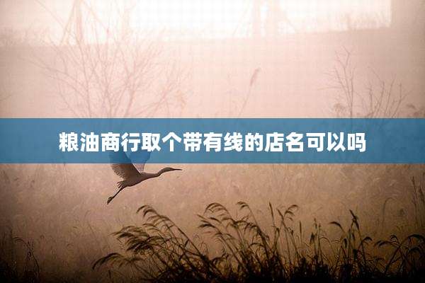 粮油商行取个带有线的店名可以吗
