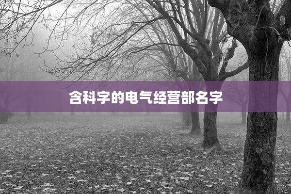 含科字的电气经营部名字