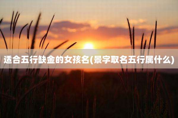 适合五行缺金的女孩名(景字取名五行属什么)