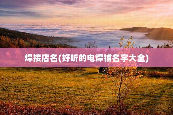 焊接店名(好听的电焊铺名字大全)