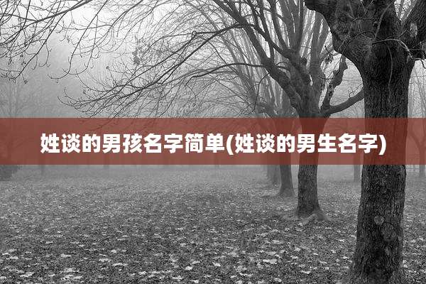 姓谈的男孩名字简单(姓谈的男生名字)