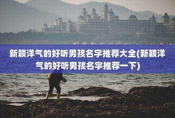 新颖洋气的好听男孩名字推荐大全(新颖洋气的好听男孩名字推荐一下)