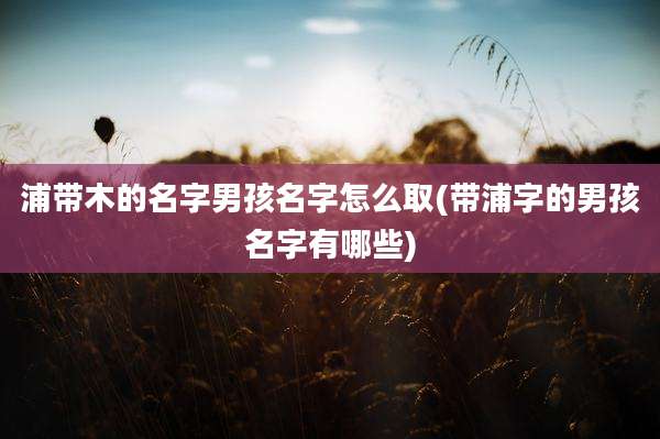 浦带木的名字男孩名字怎么取(带浦字的男孩名字有哪些)