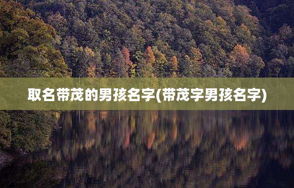 取名带茂的男孩名字(带茂字男孩名字)
