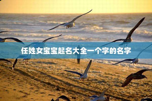 任姓女宝宝起名大全一个字的名字