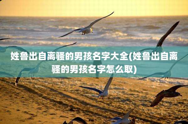 姓鲁出自离骚的男孩名字大全(姓鲁出自离骚的男孩名字怎么取)