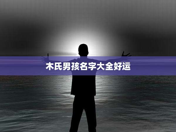 木氏男孩名字大全好运